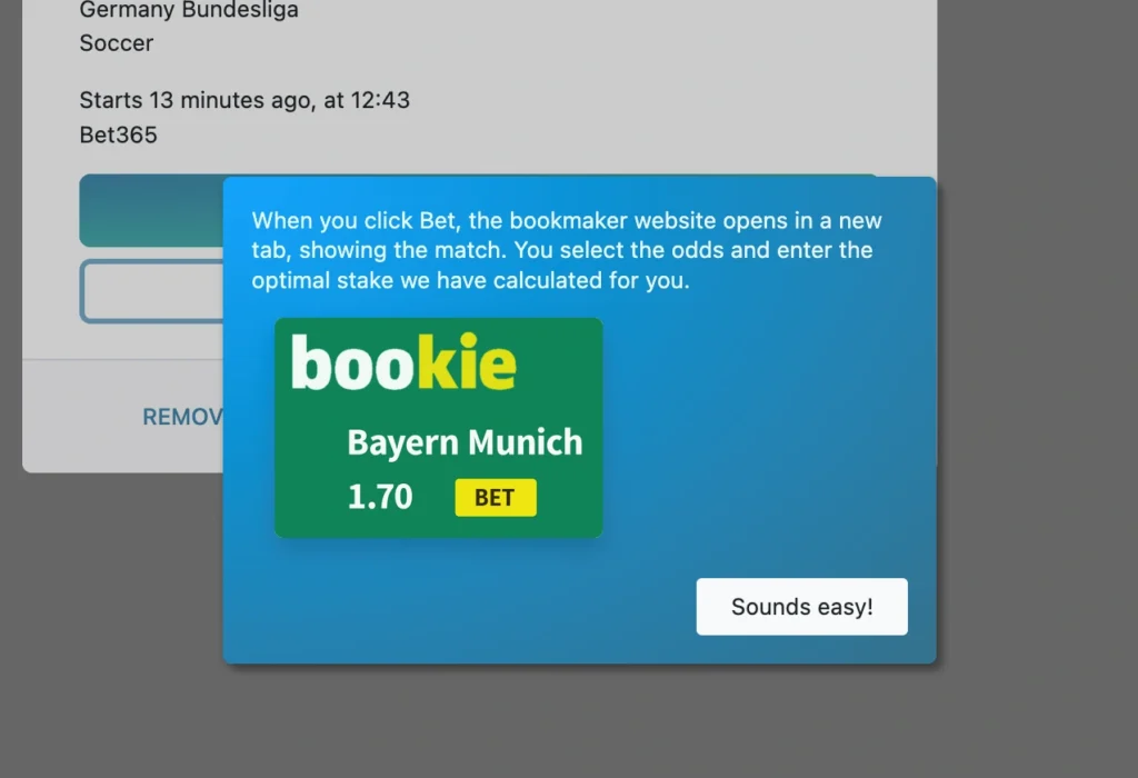 RebelBetting tutorial steg 4